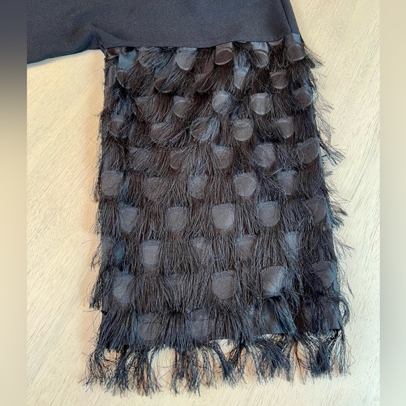 Women’s H&M Black Wide-cut‎ Top Sheer Fringe Sleeves Size 4 - Picture 7 of 11
